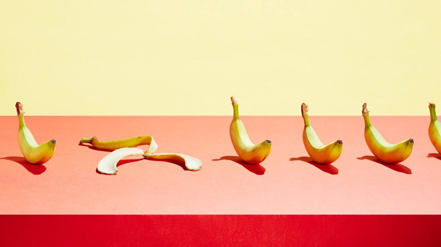 Speerpunten voor HR in 2026