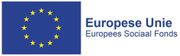 Europese Unie logo